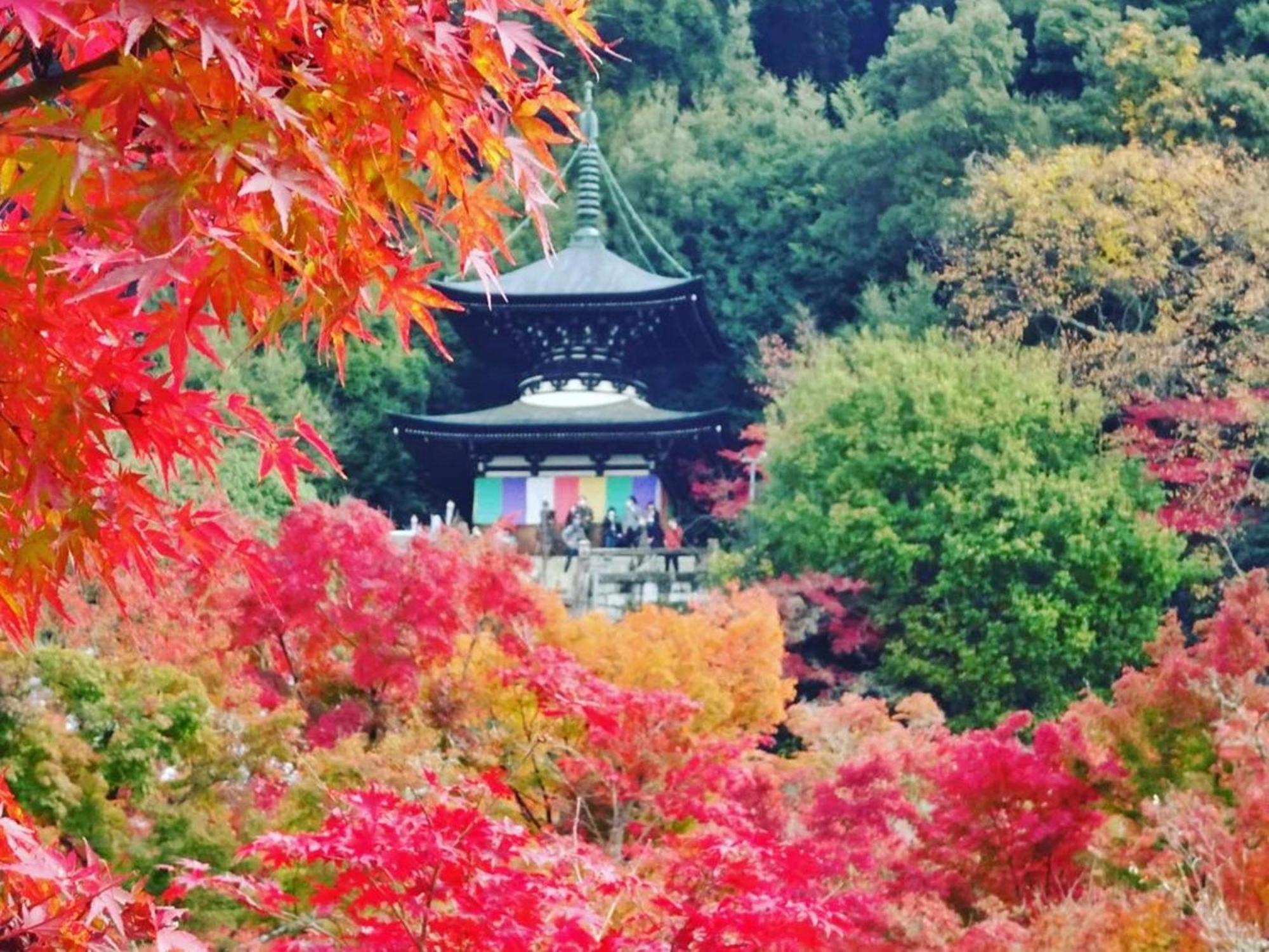 Yamamoto Ryokan Киото Екстериор снимка